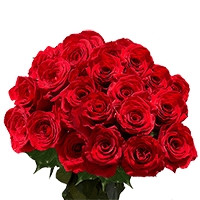 Rose Sht Red 25 Stems (OC) [Include Flower Food] (OM) For Delivery to Lebanon, Tennessee