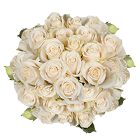 (QB) Rose Sht Ivory 4 Bunches For Delivery to Greensboro, North_Carolina