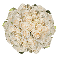 (HB) Rose Sht Ivory 8 Bunches For Delivery to South_Dakota