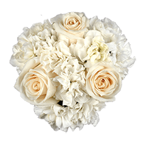 (QB) Small European Ivory Rose Minicarn 8 Arrangement For Delivery to North_Carolina