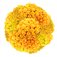 Choose Your Quantity of Solid Yellow Color Roses For Delivery to Conway, Arkansas