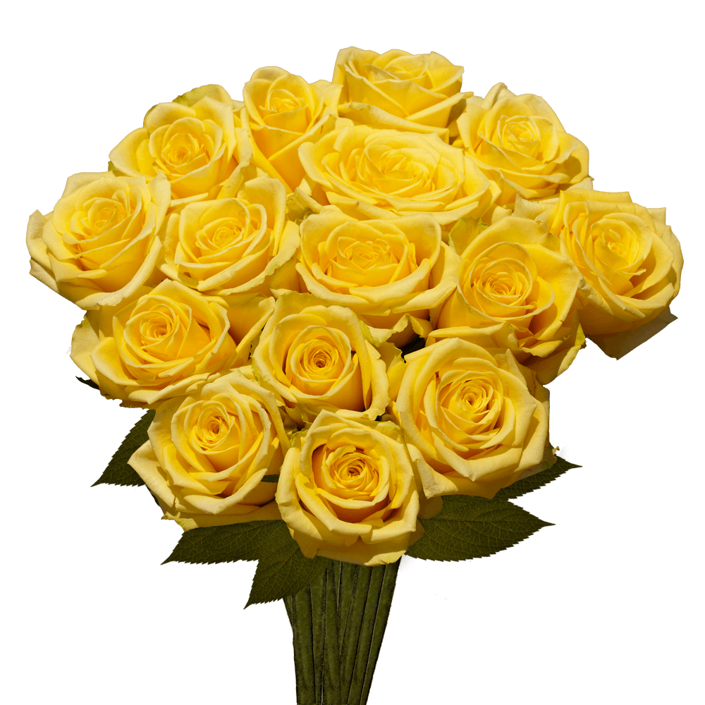 Fresh Yellow Roses stardust For Sale Flowers Online
