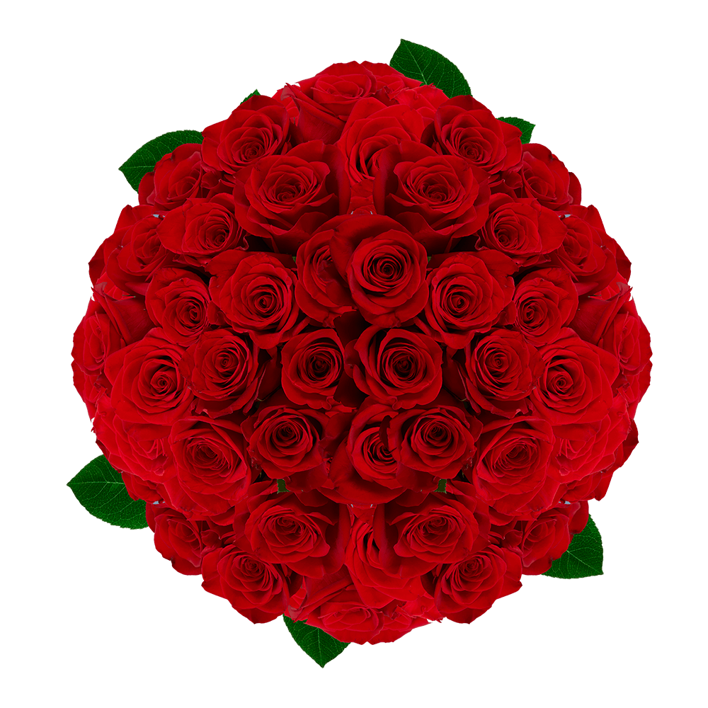 Freshest Red Valentine's Roses Free Delivery