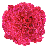 (HB) Rose Med Hot Pink Valentines For Delivery to South_Lake_Tahoe, California