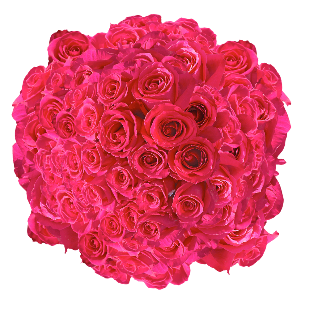 Freshest Valentine's Day Flowers Hot Pink Roses