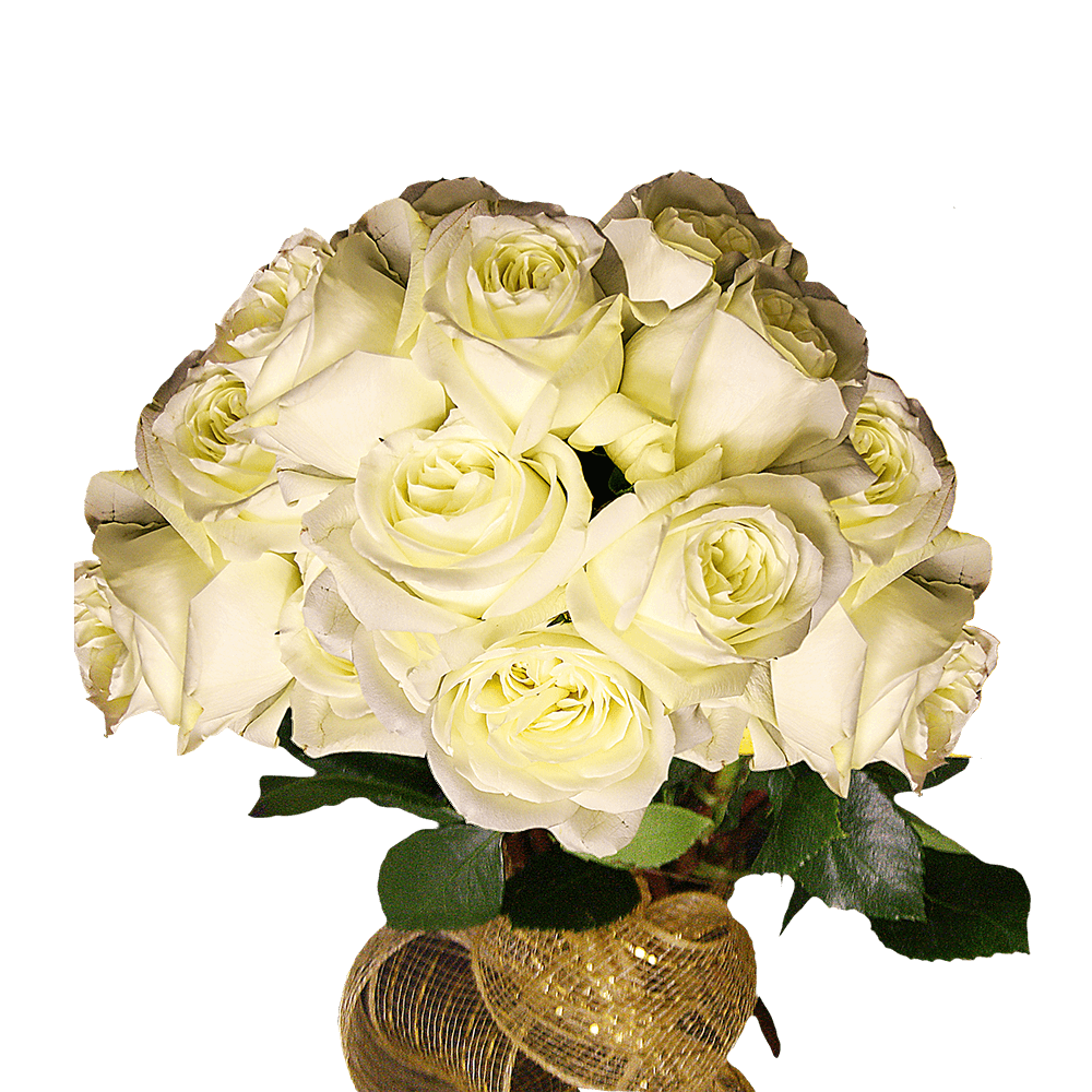Freshest White Roses For Sale Big White Roses Bouquet to Buy Online