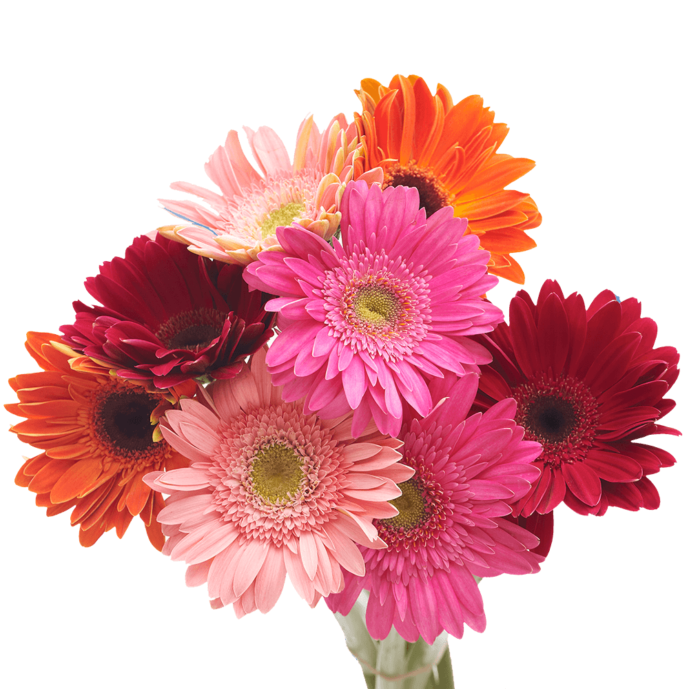 Various Colours 6 x Artificial Single Stem Gerbera Flowers 