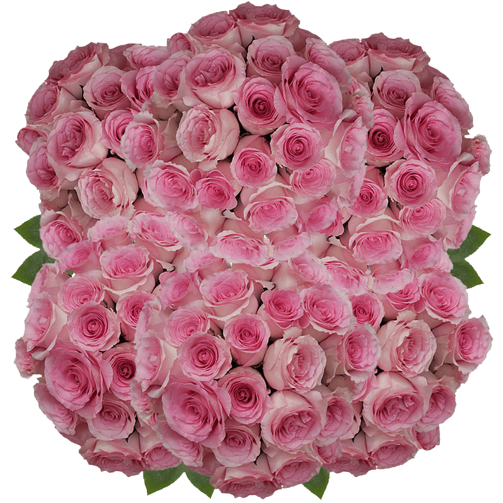 (HB) Rose Med Mandala 200 Stems For Delivery to Hackettstown, New_Jersey