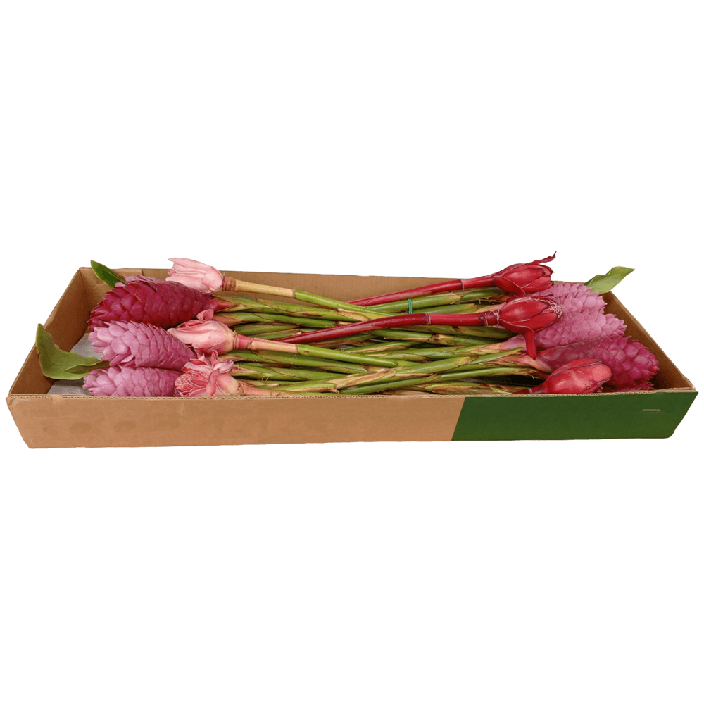 Ginger Mix Recipe 24 Stems Farm Fresh Tropical Flowers Delivery