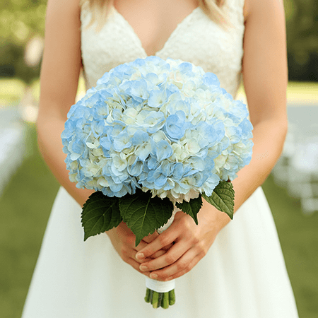 Bridal Bouquet with Blue Hydrangeas