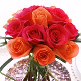 (2BDx20) CP Dark Pink and Orange Assorted Roses 12 Bouquets
