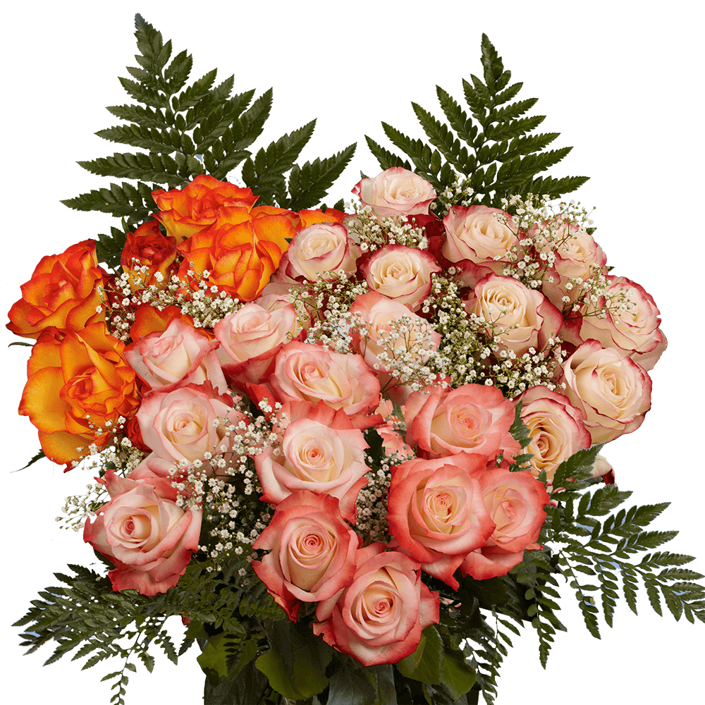 Gorgeous Dozens of Assorted Colors of Roses with Fillers