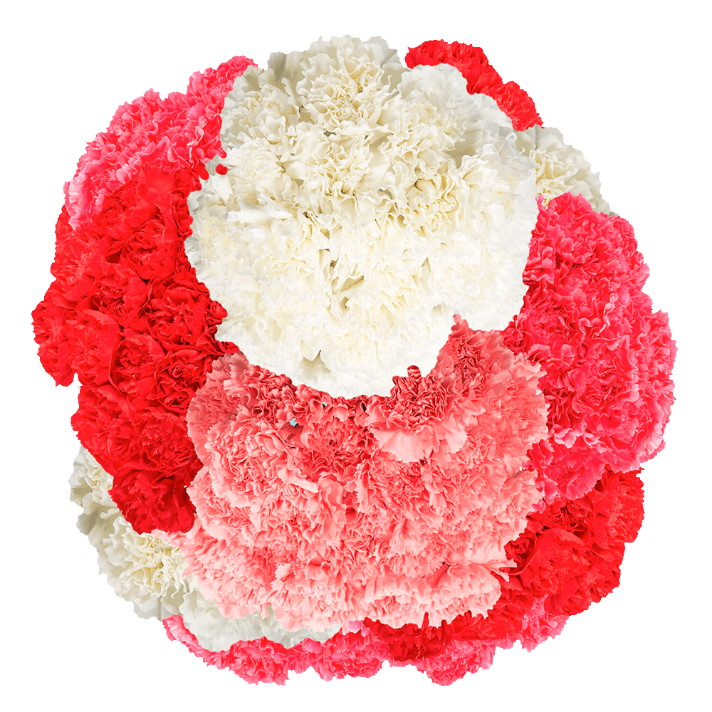Gorgeous Mother's Day Carnations