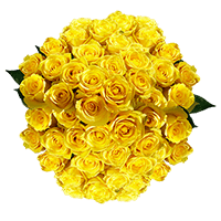 (QB) Rose Med Yellow Bikini [Inlude Flower Food] For Delivery to Ballston_Spa, New_York