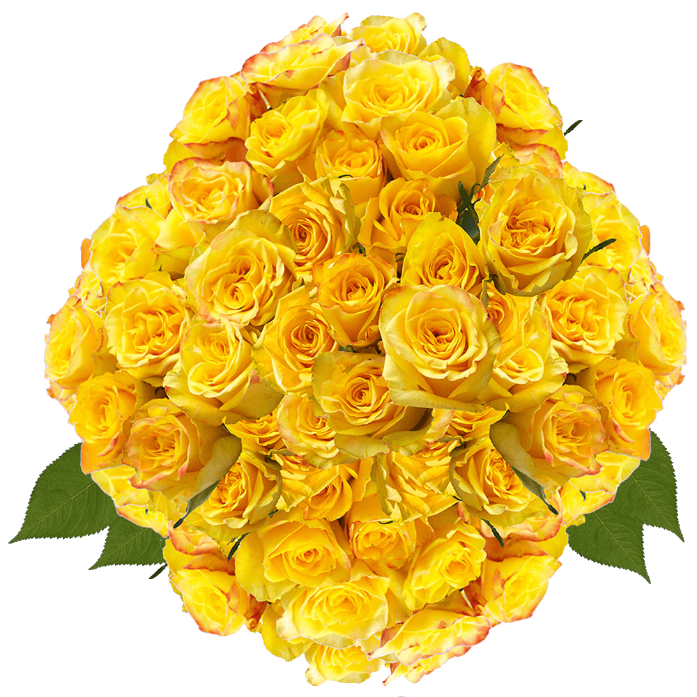 Gorgeous Yellow Roses