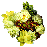 (HB) Arrangement Green Fall Flowers For Delivery to Sun_City, Arizona