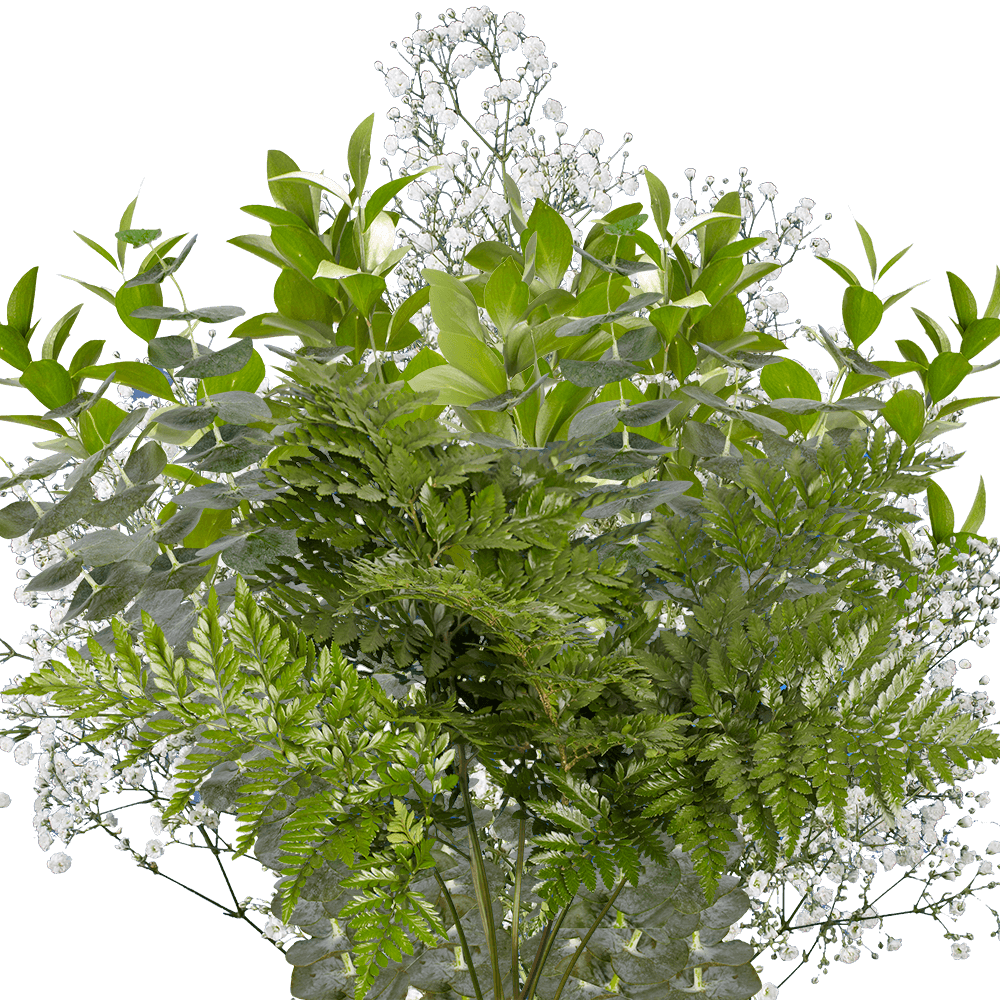 Greenery for Floral Arrangements Bouquet Fillers Combo