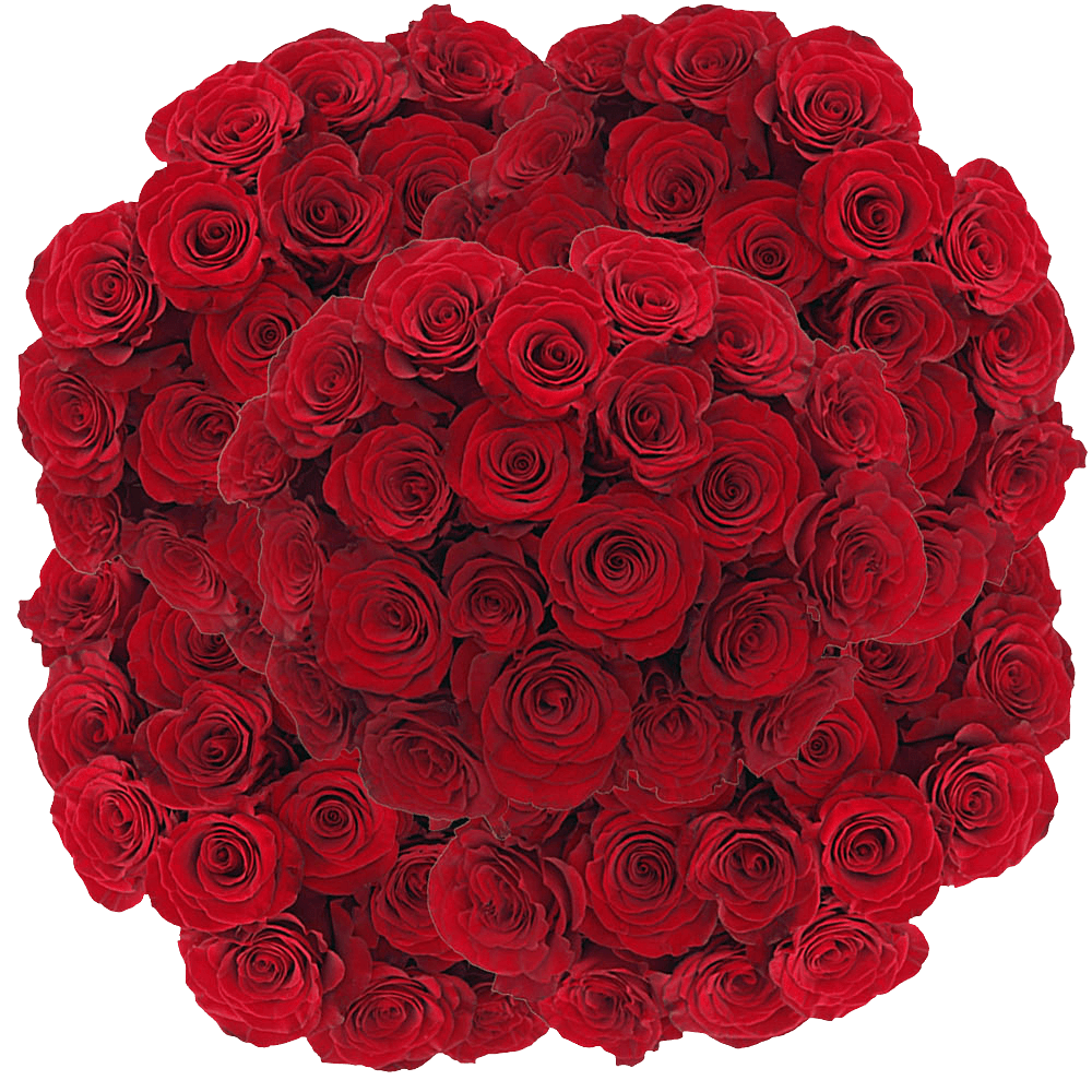 Hearts Red Roses Discount Prices Online