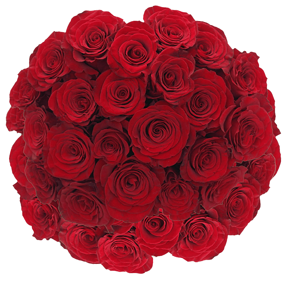75 XX Long Hearts Red Roses | GlobalRose