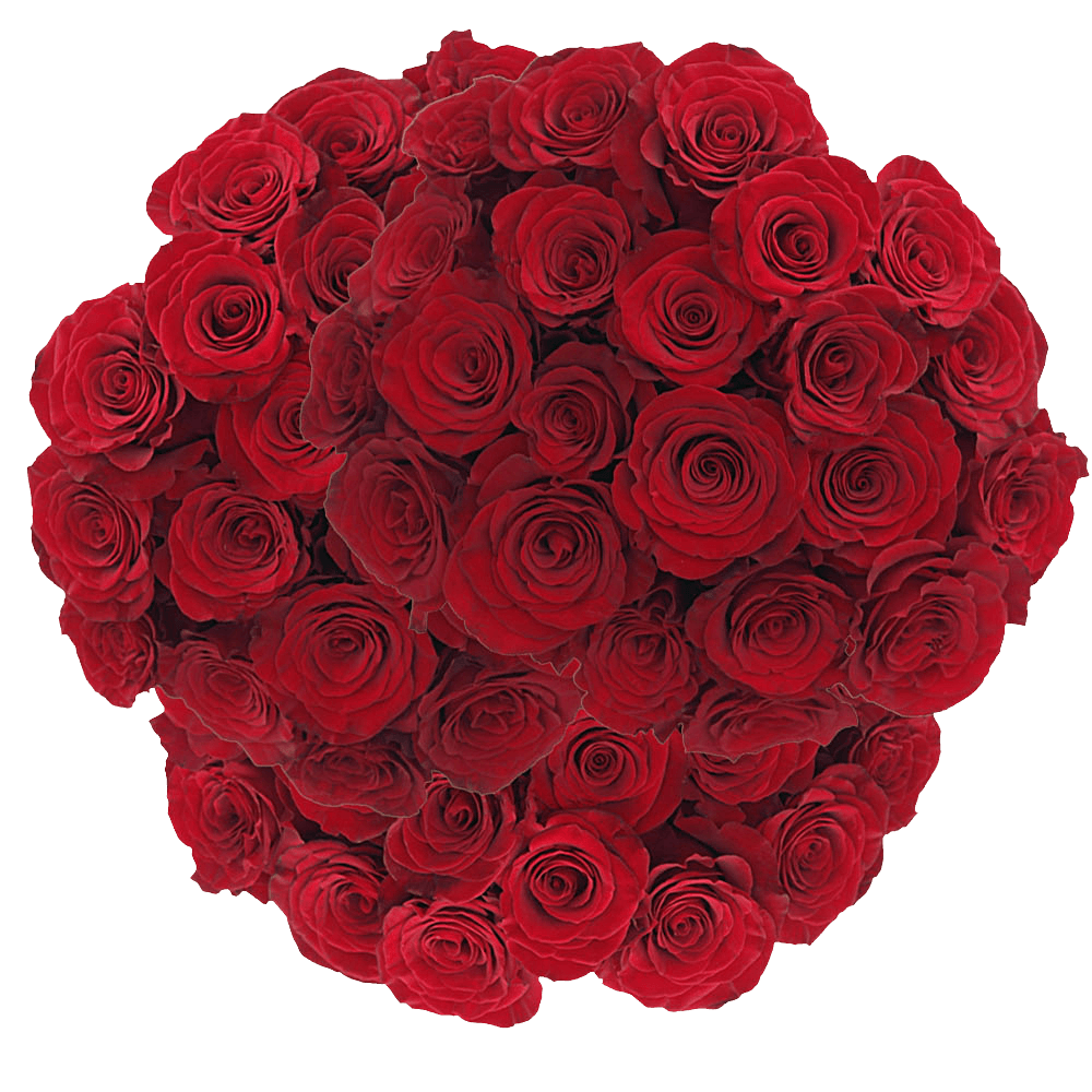 Hearts Red Roses For Sale Online