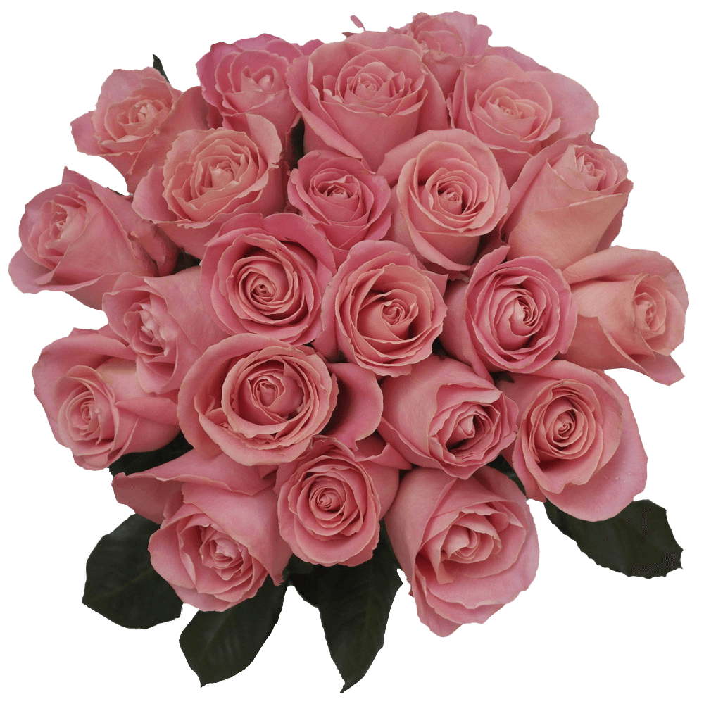 Hermosa Roses Antique Light Pink Free Online Delivery