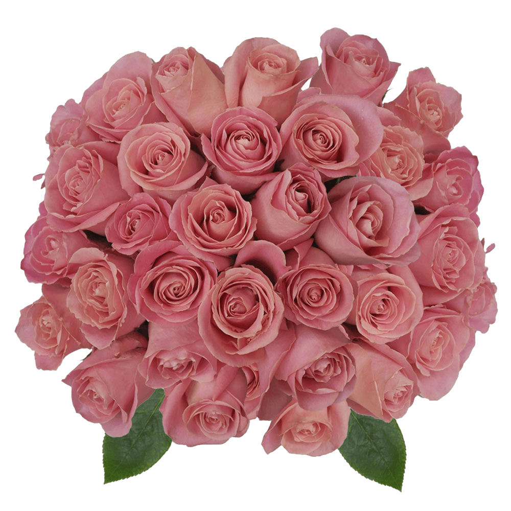 Hermosa Roses Flowers For Sale Online