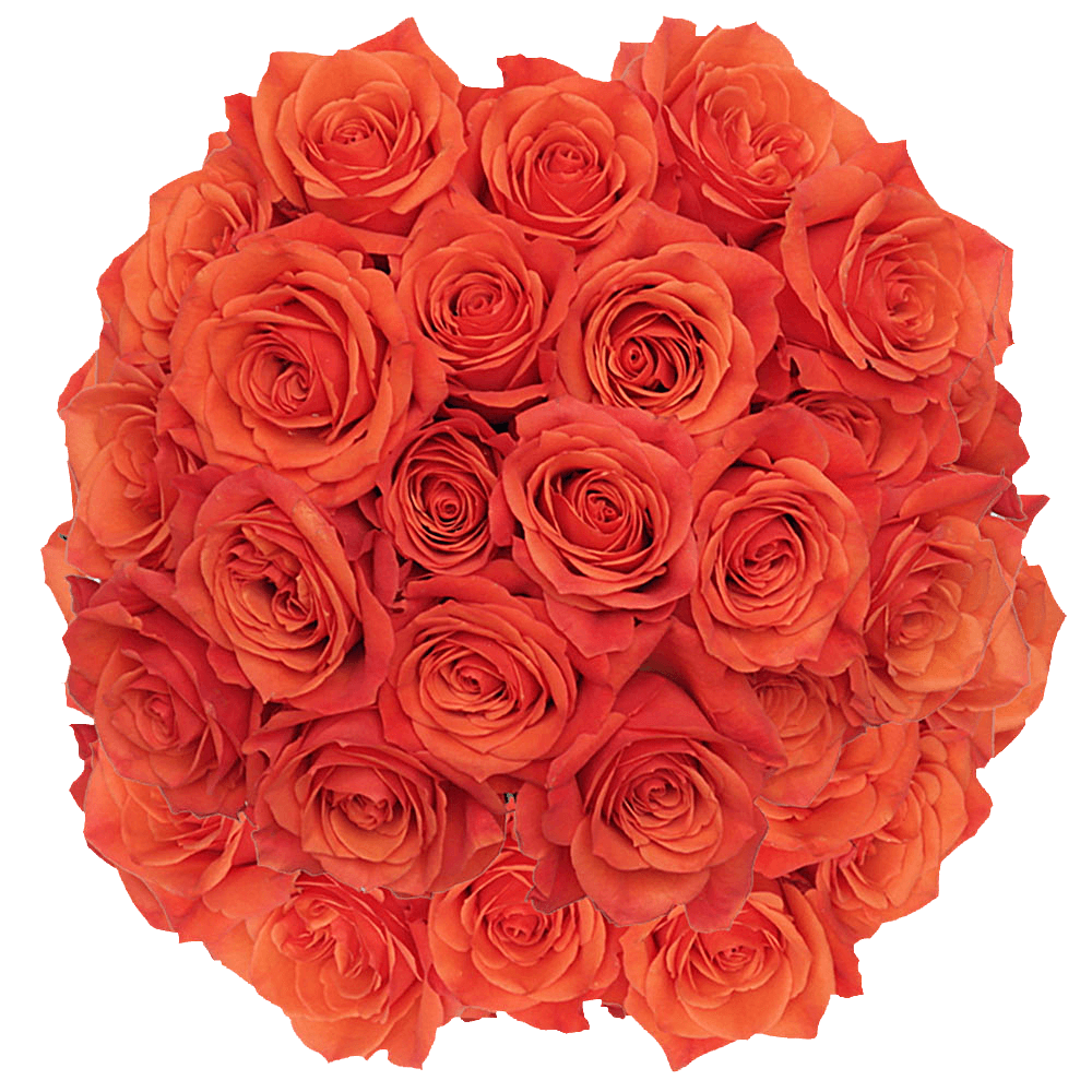 Hilux Orange Rose Flower Delivery