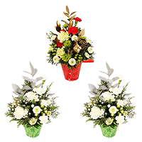 (DUO) Christmas Holiday Combination II 3 Arragements with Vase For Delivery to Paramus, New_Jersey