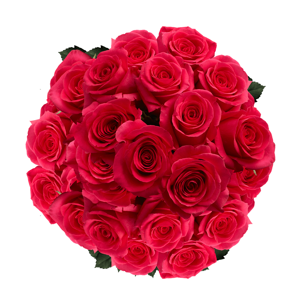 Hot Pink Roses For Mother´s Day Flower Delivery