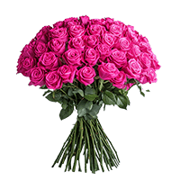 Qty of Mothers Day Hot Pink Roses For Delivery to Trussville, Alabama