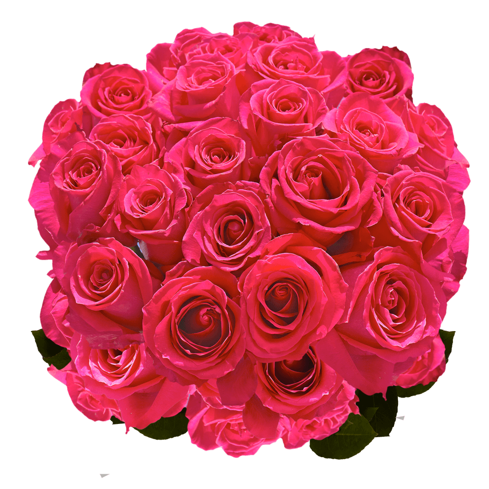 Hot Pink Valentine's Day Roses Online Special