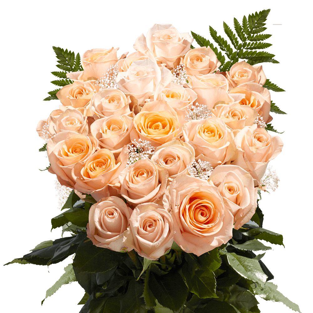 Huge Roses Bouquet 2 Dozen Peach Blooms with Greenery