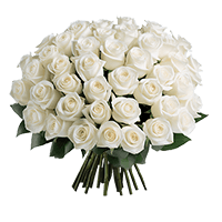 (OC) Rose Sht White 2 Bunches For Delivery to Pennsylvania