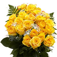 (OC) Roses Sht Dozen yellow X 2 Bunches (Gypso And Greens) For Delivery to Maine