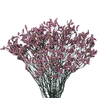 Qty of Lavender Limonium Flowers For Delivery to Rhode_Island
