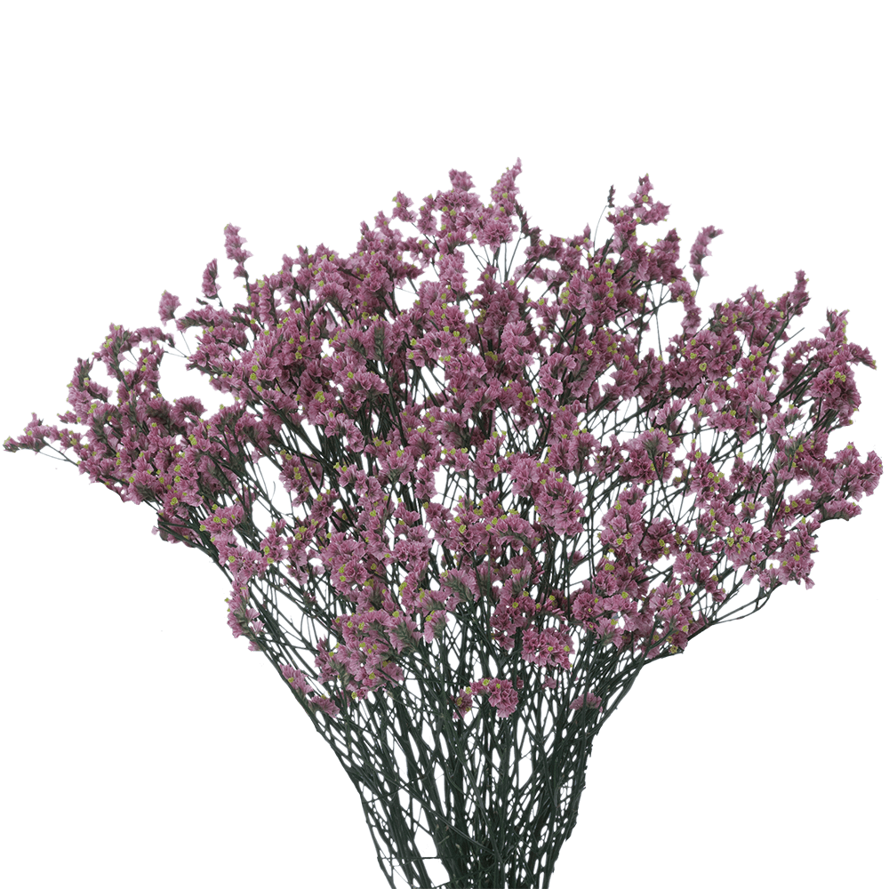 Qty of Lavender Limonium Flowers For Delivery to Valencia, California