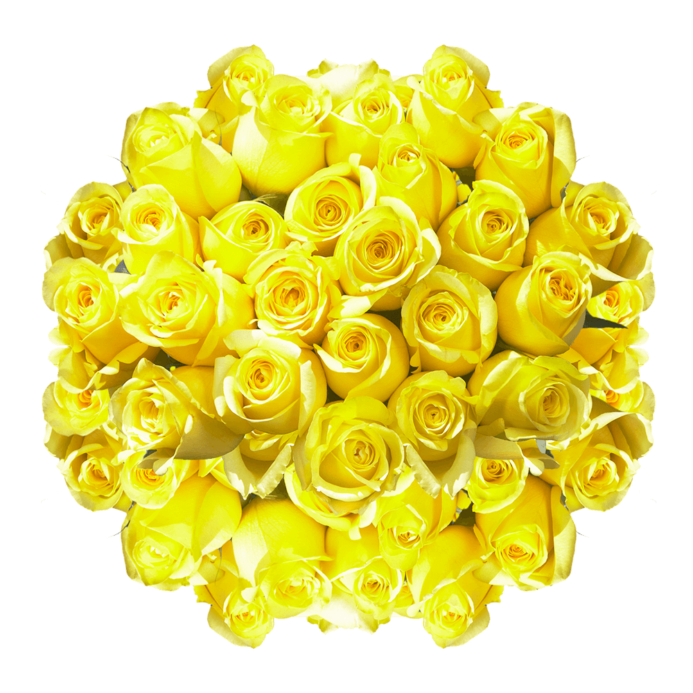Lemon Yellow Roses For Sale