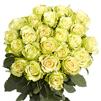 (OC) Roses Sht Green Beauty For Delivery to Kansas_City, Kansas