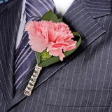 2-bt-carn-light-pink-RB-white