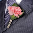 2-bt-carn-light-pink-RB-white