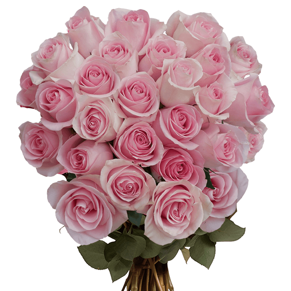 Light Pink Roses Cheap Mother's Day Flowers Free Delivery
