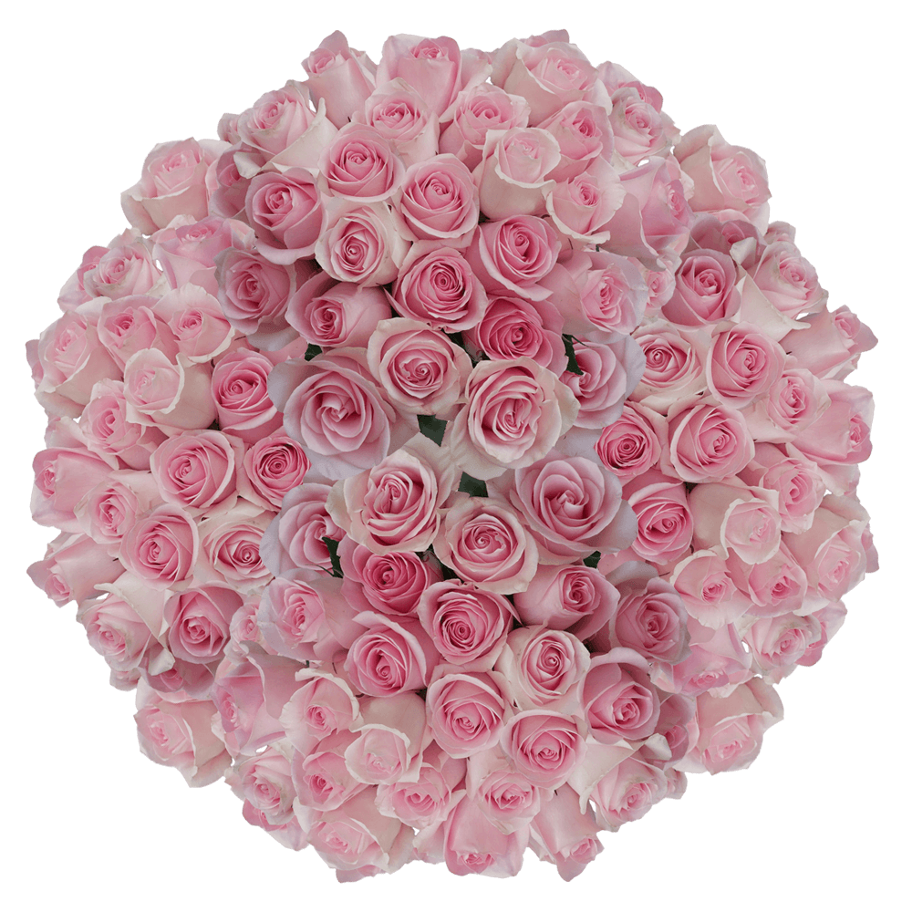 Light Pink Roses Mother's Day Flowers Cheap