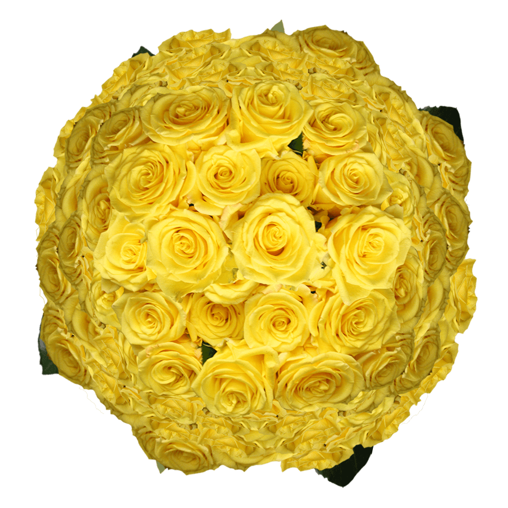 Light Yellow Roses Bulk Bundle of Roses Reception Centerpieces Roses