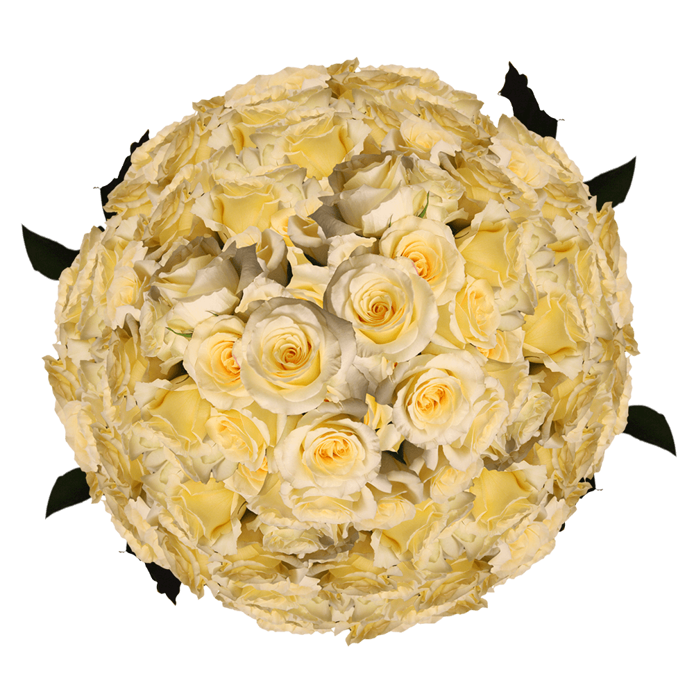 (HB) Rose Med Yellow Timeless For Delivery to Rock_Springs, Wyoming