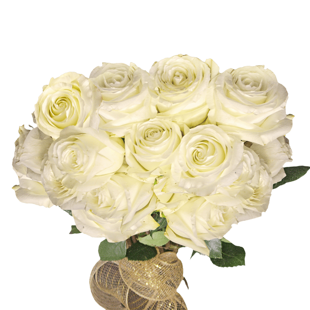 Long Stem Big White Roses