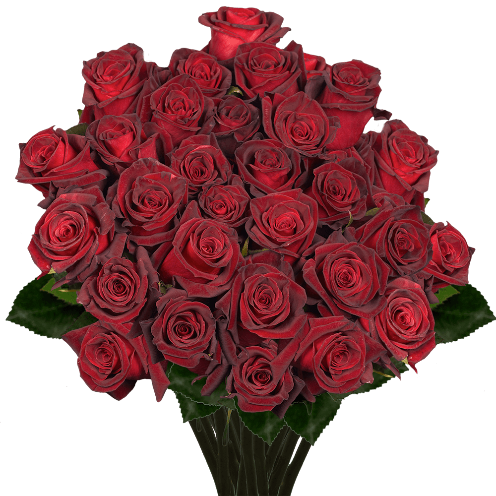 (QB) Rose Long Black Baccara For Delivery to West_New_York, New_Jersey