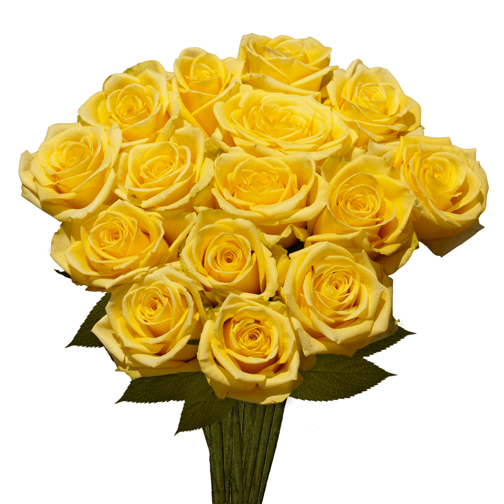 Buy Wholesale Wholesale Bulk Roses 75 stems Your Colors in Bulk - F