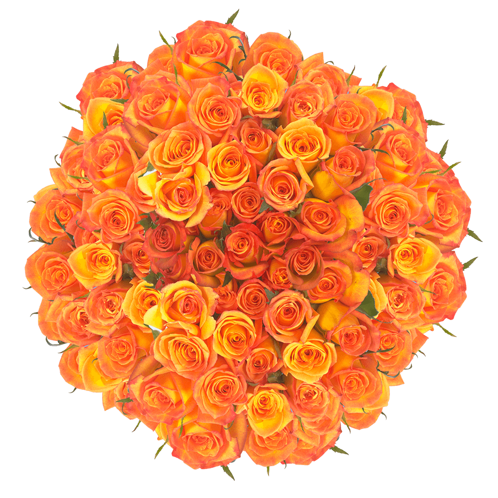 Long Stem Dark Orange Roses Online