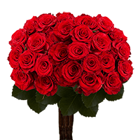 (QB) Rose Long Red Paris For Delivery to Iowa, Local.Globalrose.Com