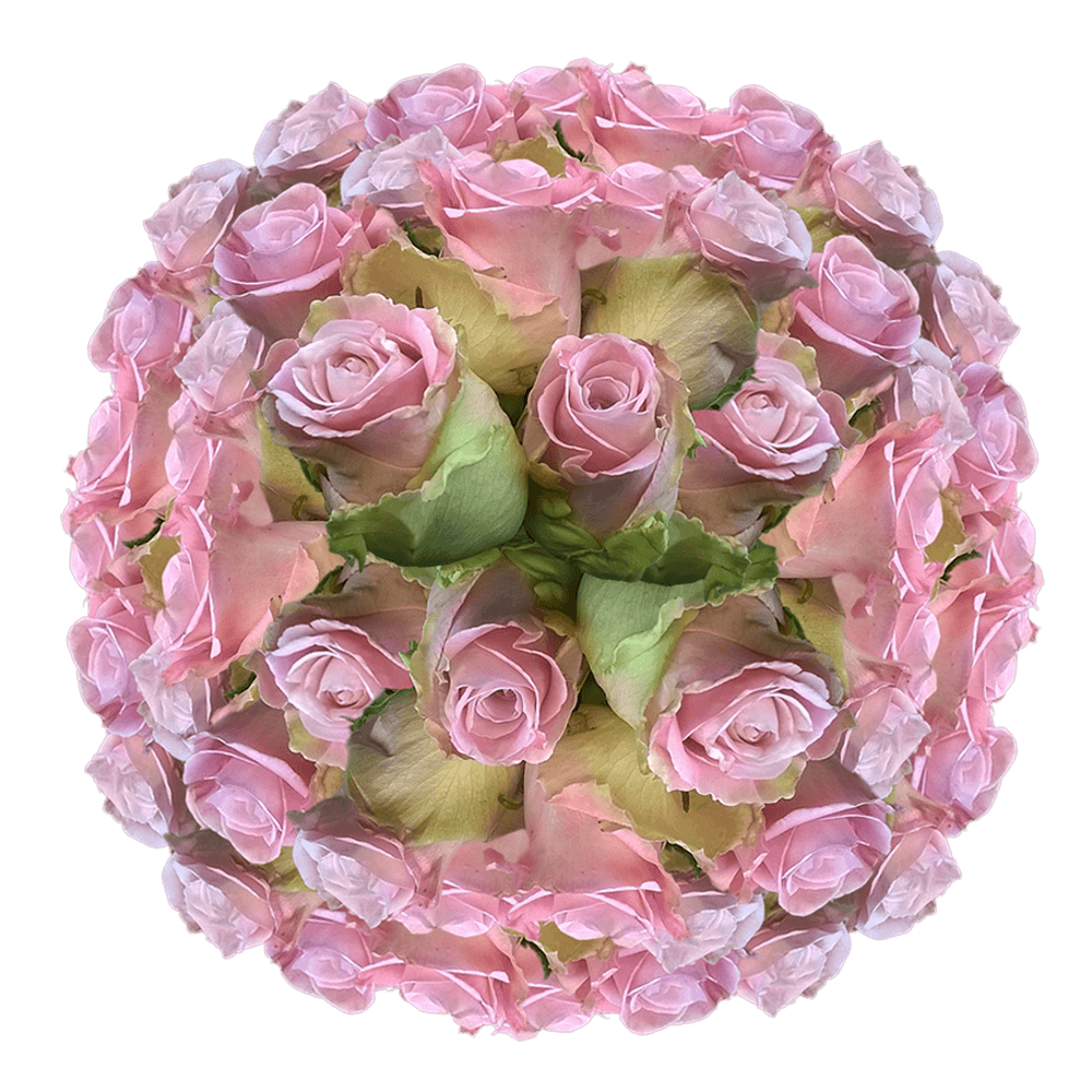 Long Stem Light Pink Roses For Weddings